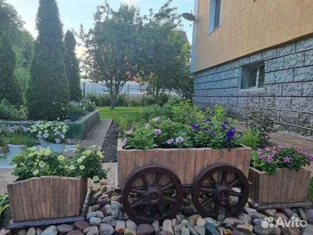 26134