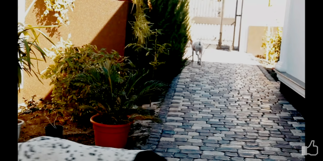 Screenshot_2019-10-13-18-44-44-970_com.google.android.youtube