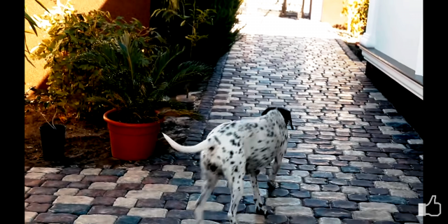 Screenshot_2019-10-13-18-44-49-969_com.google.android.youtube