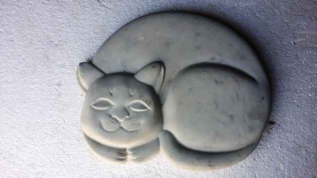 cat1