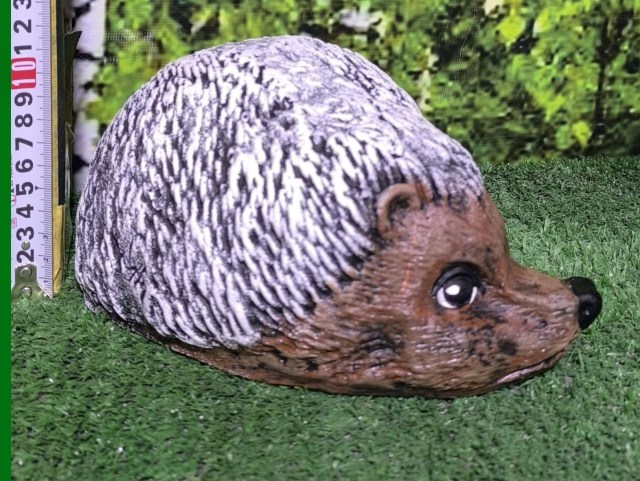 ежик